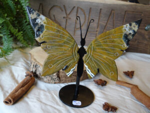 Papillon Jaspe Marron - Madagascar