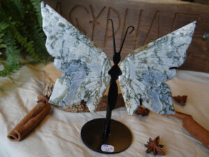 Papillon Agate Mousse - Brésil